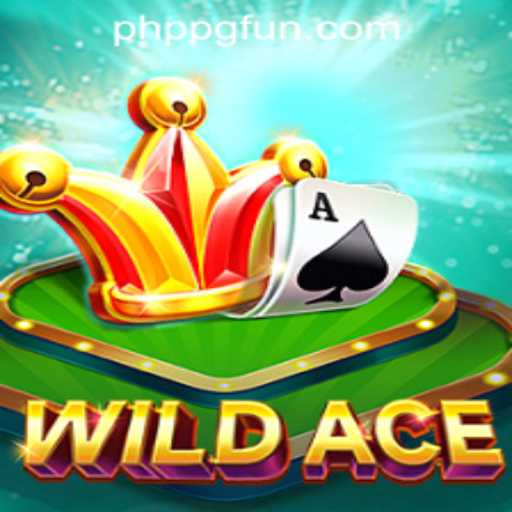 WildAce: Experience the Thrill of the Casino Game